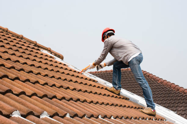 Best Slate Roofing  in South Bay, FL